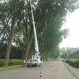 Snoeien mbv 21 meter hoogwerker