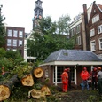 Boomverzorging Amsterdam. Verwijderen Anne Frank Kastanje.