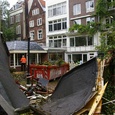 Boomverzorging Amsterdam. Verwijderen Anne Frank Kastanje.