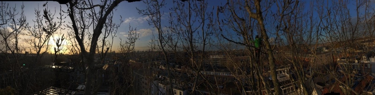 Home