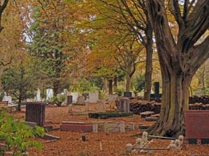 begraafplaats zorgvlied V.T.A. N.T.O. boomveiligheidsrapport