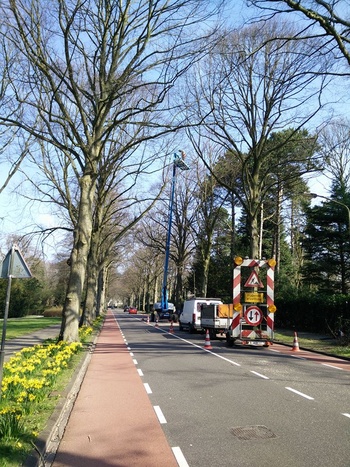 Met behulp van een hoogwerker worden de bomen van de gemeente gesnoeid