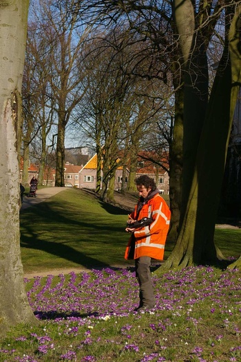 Boomcontrole voor de gemeente Haarlem