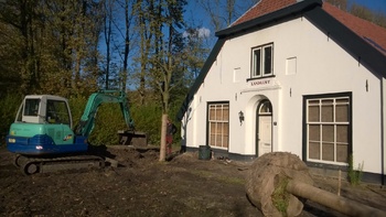 Bomen planten en verplanten